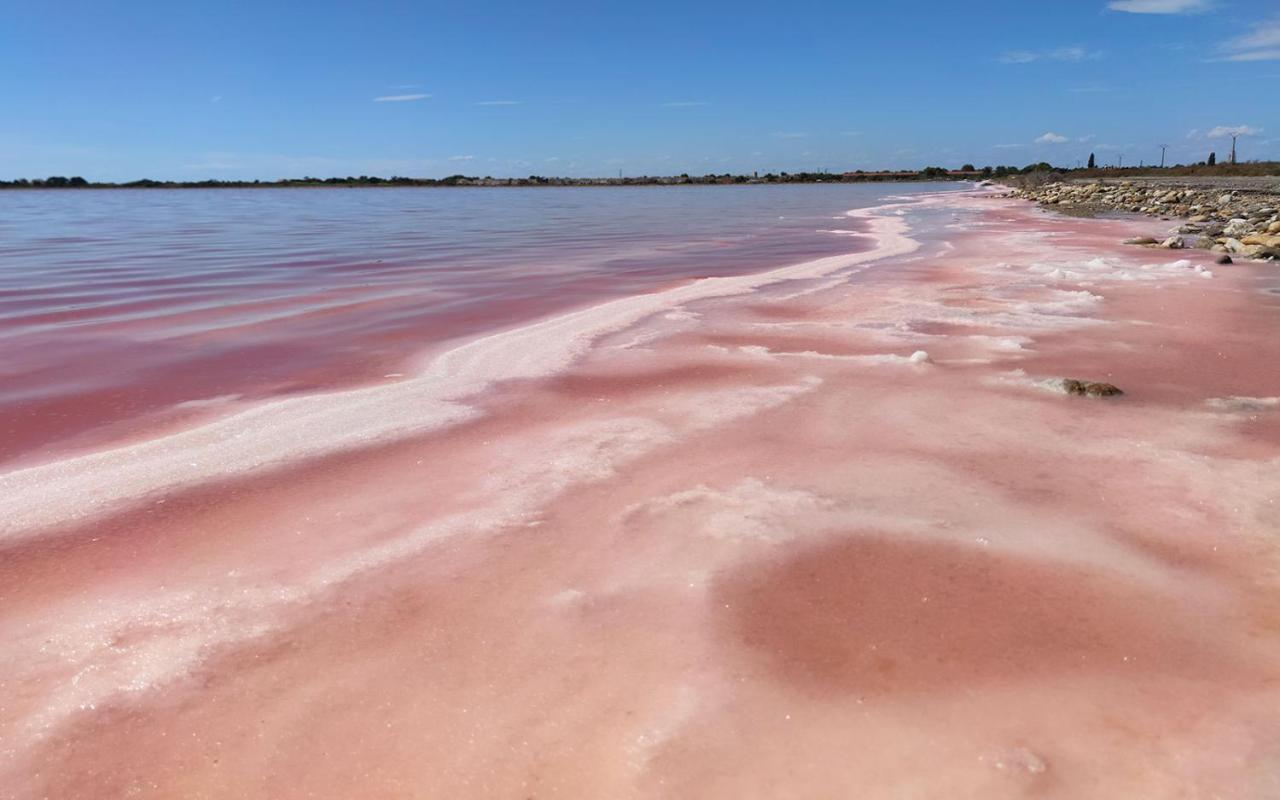 Апартаменты Le Flamant Rose - Cosykaz Эг-Морт Экстерьер фото